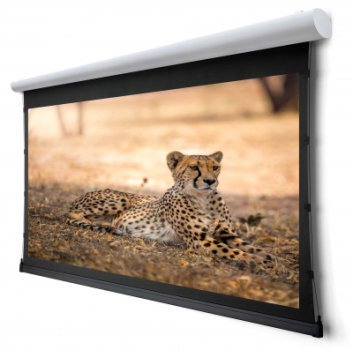 WS P Design GrandCinema HD 16:9 210x118 BE/BL 1.1